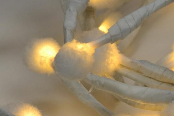 1461450846-139317-big