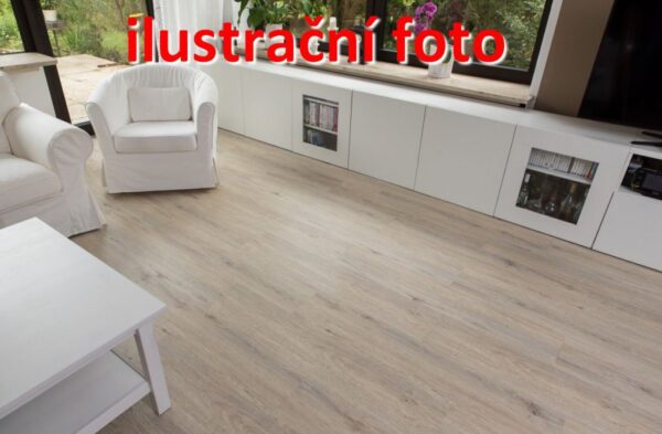 1494843356-447232-big