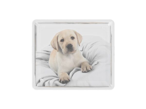 1532025980-955085-big