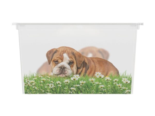 1532025990-561484-big