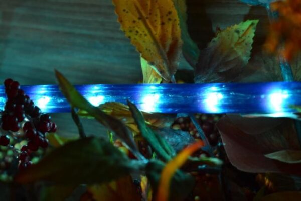 1539352895-154333-big