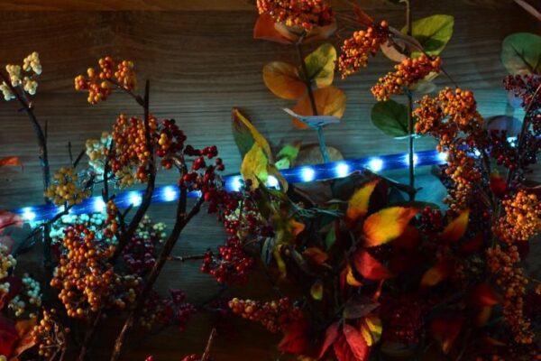 1539352895-283862-big