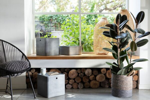 1556863404-639515-big