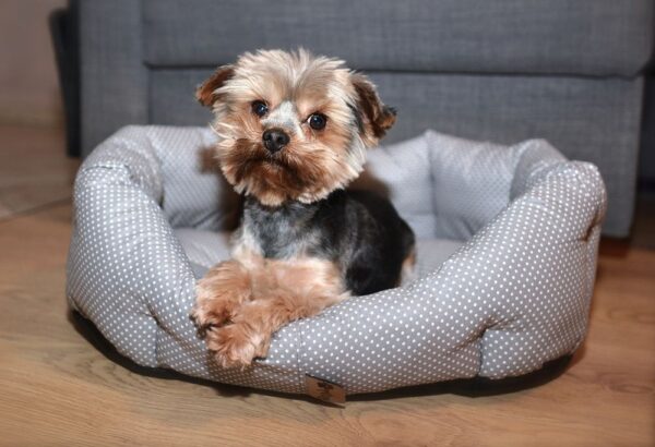 1556863489-335962-big