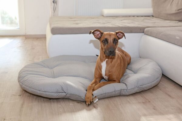 1556863508-84794-big