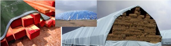 1558956530-341619-big