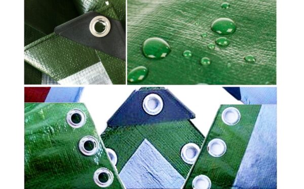 1558956530-502712-big