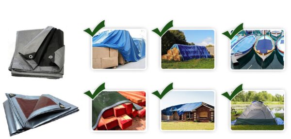 1558956530-84939-big