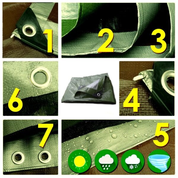 1562579342-981968-big