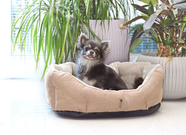 1568730274-188601-big