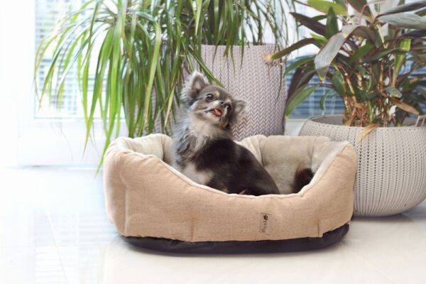 1568730275-781689-big