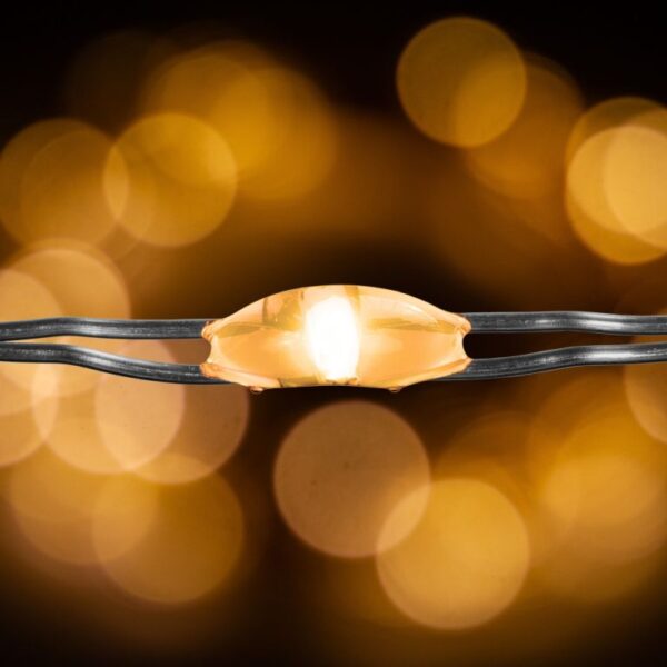 1570085527-301016-big