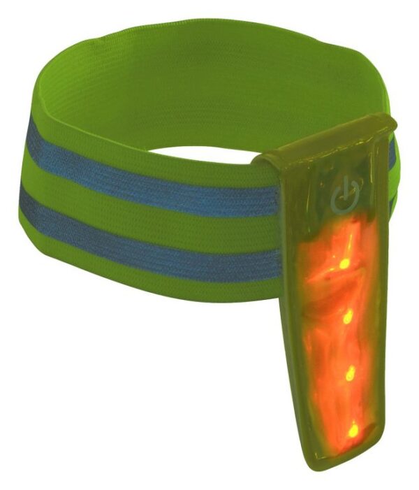 1571663776-568441-big