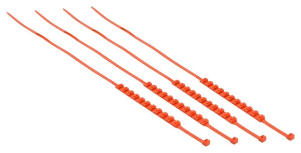 1571665558-796278-big