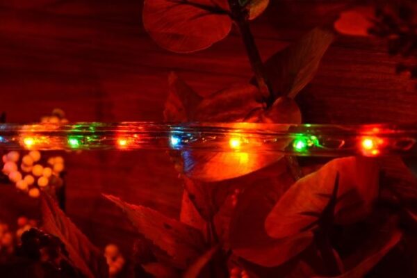 1572797571-510591-big