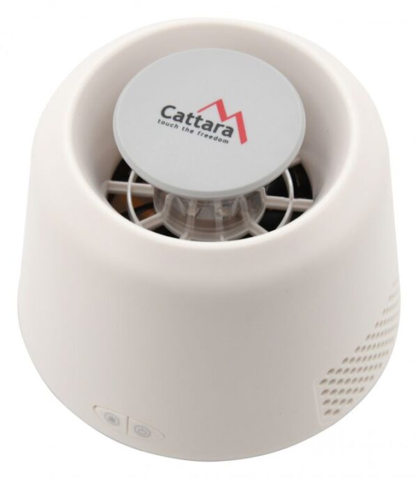 1592301291-55137-big