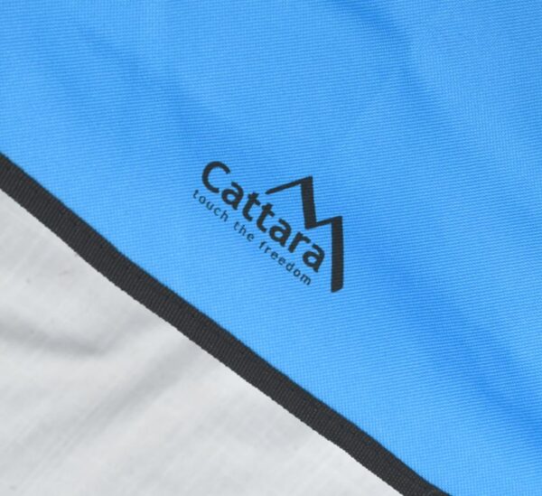 1592301306-807830-big