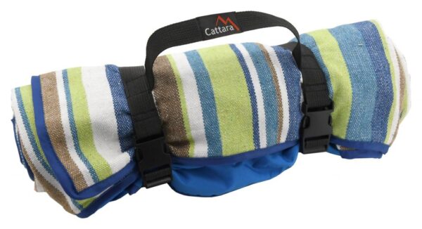 1592301318-271320-big