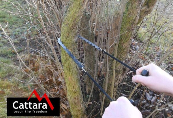 1592301326-330412-big