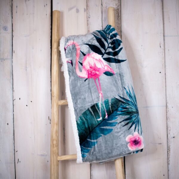 1602766779-658110-big