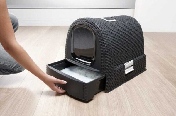 1461450417-770100-big