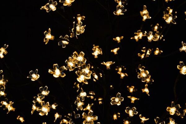 1461450863-438066-big