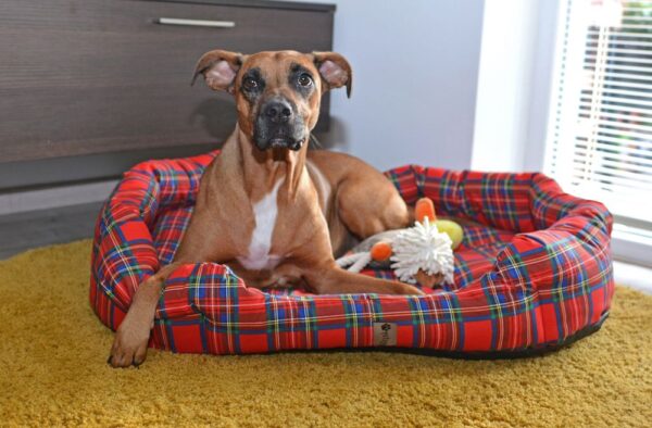 1540296108-465233-big