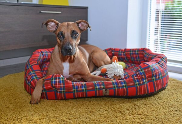 1540296110-436005-big