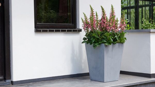 1547713950-772500-big