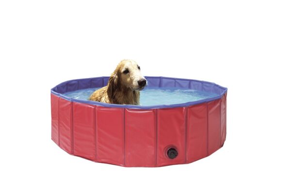 1552556745-21247-big