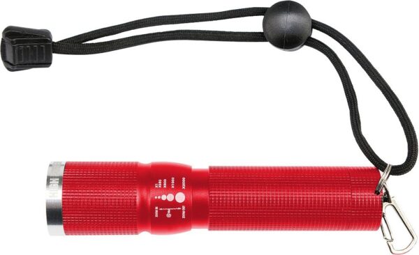 1555421151-599005-big