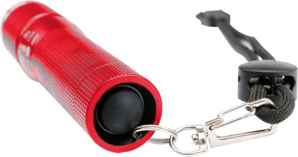 1555421152-82701-big