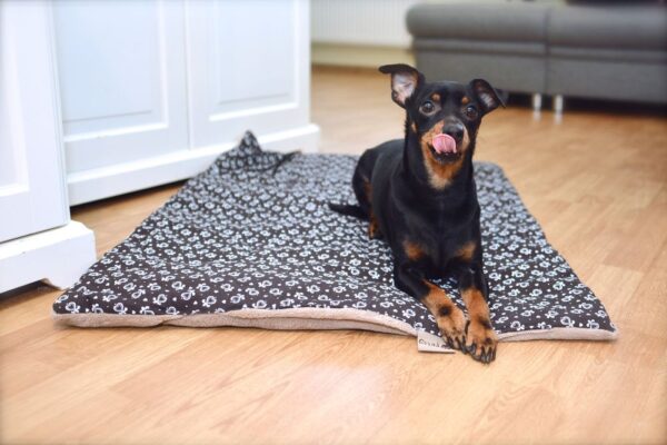 1556863501-613321-big