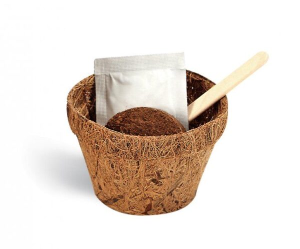 1563903030-304673-big