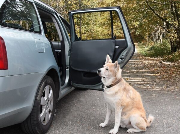 1571665756-127905-big