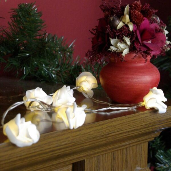 1610452099-976973-big